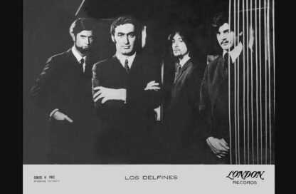 LOS DELFINES 1